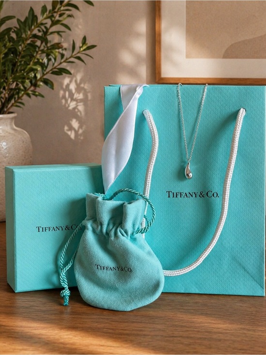 Tiffany & Co. Jewelry - Tiffany & Co. Silver Teardrop Necklace
